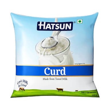 Hatsun Curd 500g